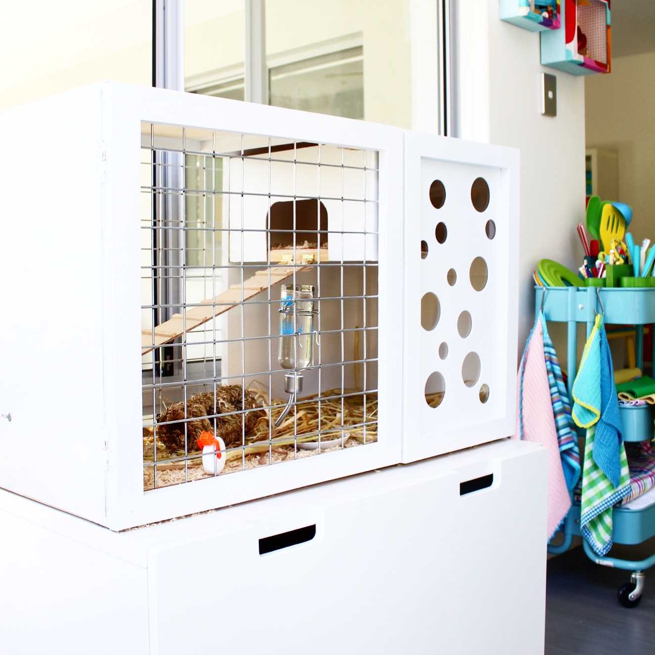 Cool guinea pig or hampster hutch DIY